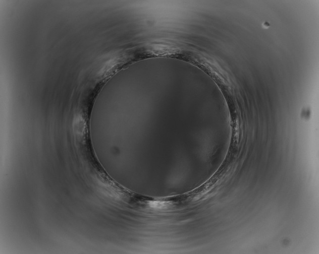 X0000100370371200806061201