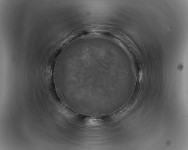 X0000100370372200806061201