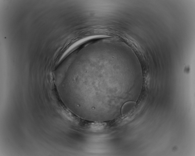 X0000100370373200806061201