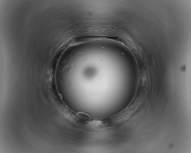 X0000100370374200806061201