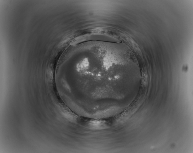 X0000100370375200806061201