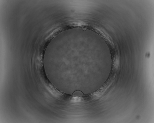 X0000100370376200806061201