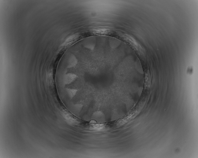 X0000100370377200806061201