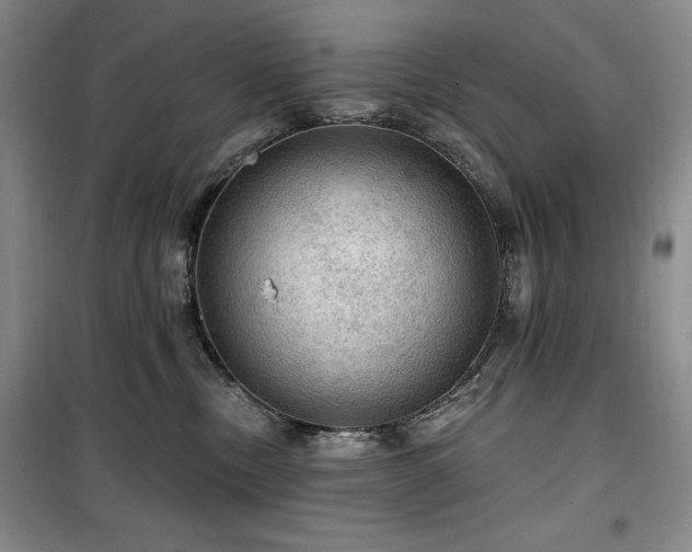 X0000100370378200806061201