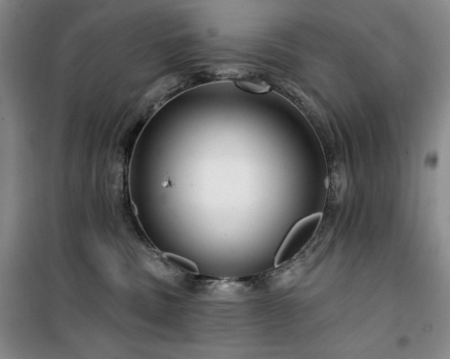 X0000100370379200806061201