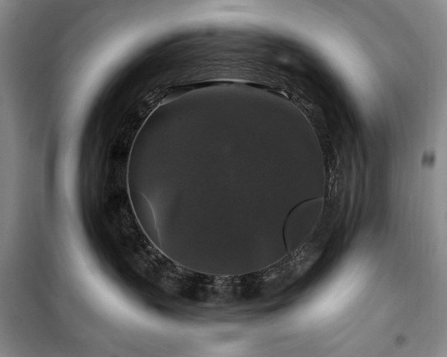 X0000100370383200806061201