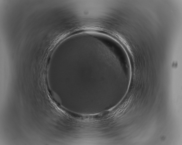 X0000100370385200806061200