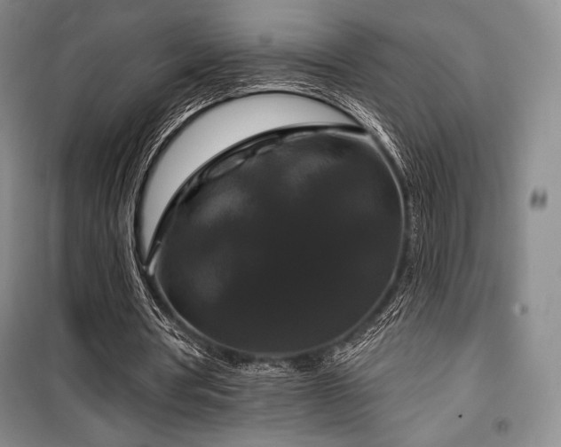 X0000100370386200806061200