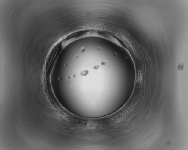 X0000100370388200806061200