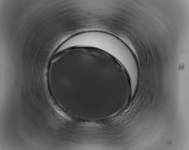 X0000100370389200806061200