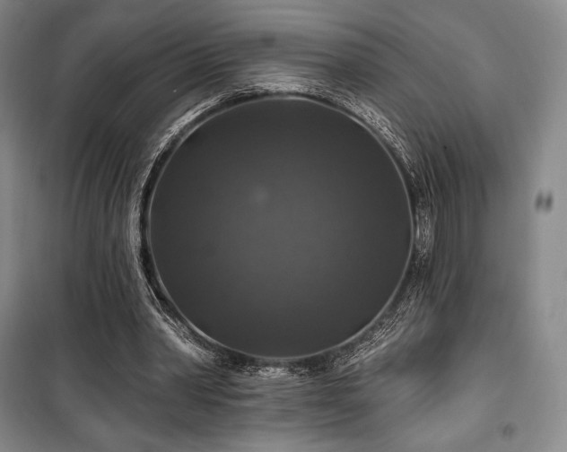 X0000100370390200806061200