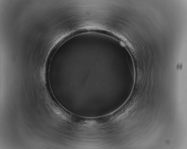 X0000100370391200806061200