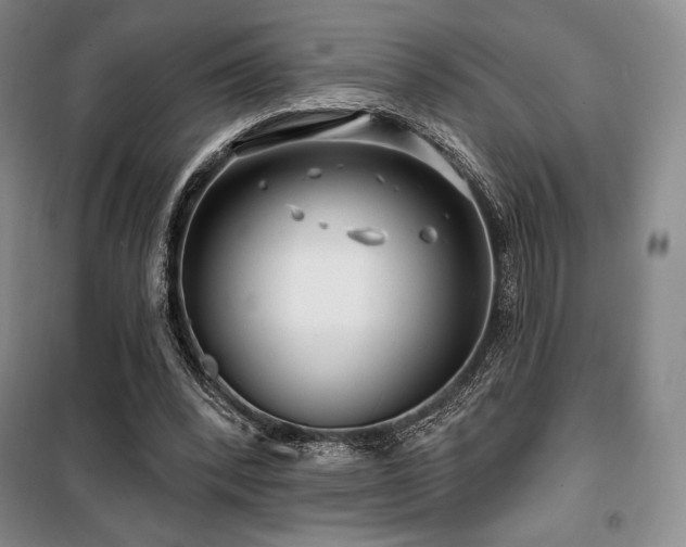 X0000100370392200806061200