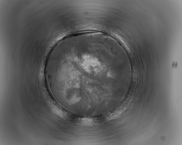 X0000100370394200806061200