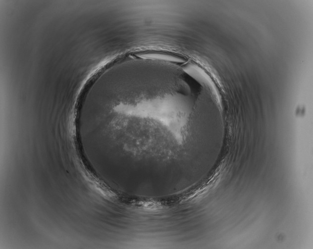 X0000100370395200806061200