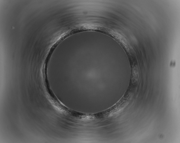 X0000100370398200806061200