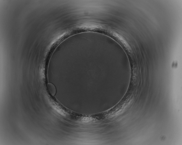 X0000100370399200806061200