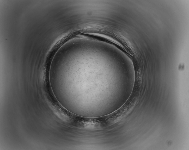 X0000100370400200806061200