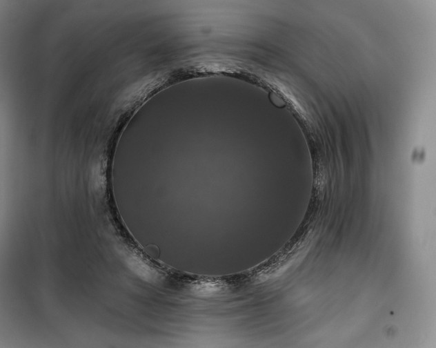 X0000100370402200806061200