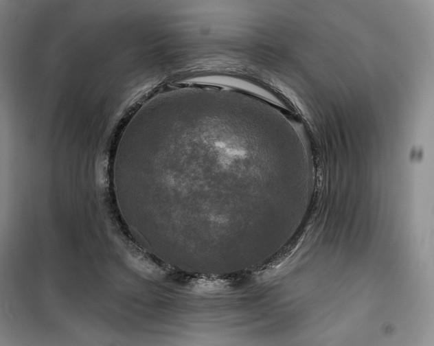 X0000100370403200806061200