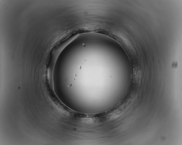 X0000100370404200806061200