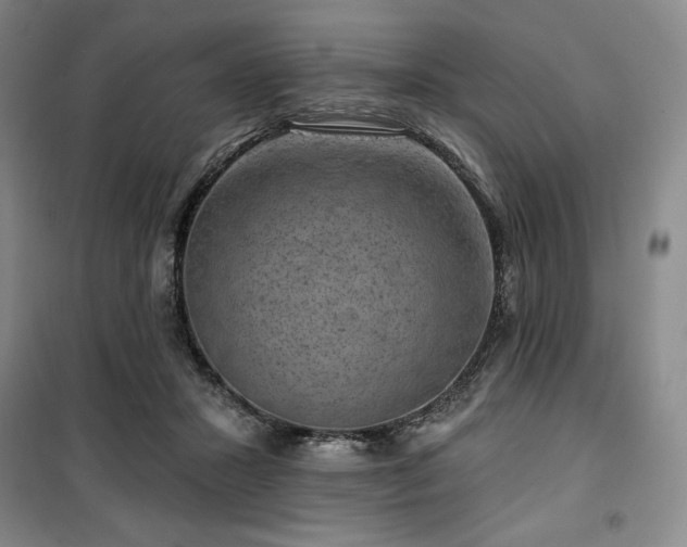 X0000100370407200806061200