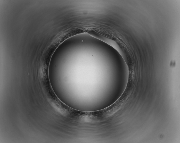 X0000100370408200806061200