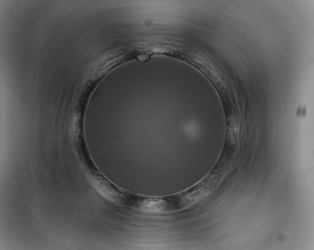 X0000100370410200806061200