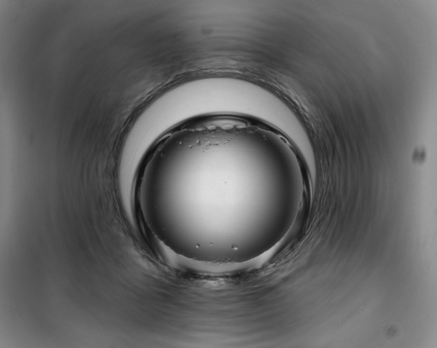 X0000100370411200806061200