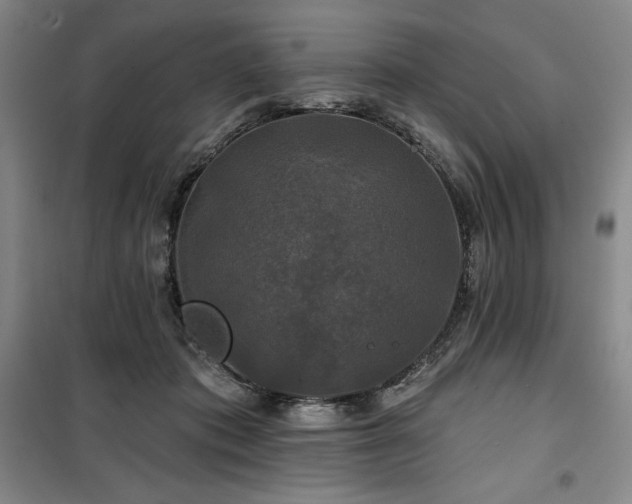 X0000100370413200806061200