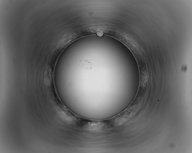 X0000100370414200806061200