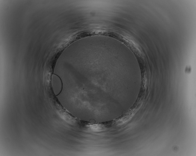 X0000100370417200806061200