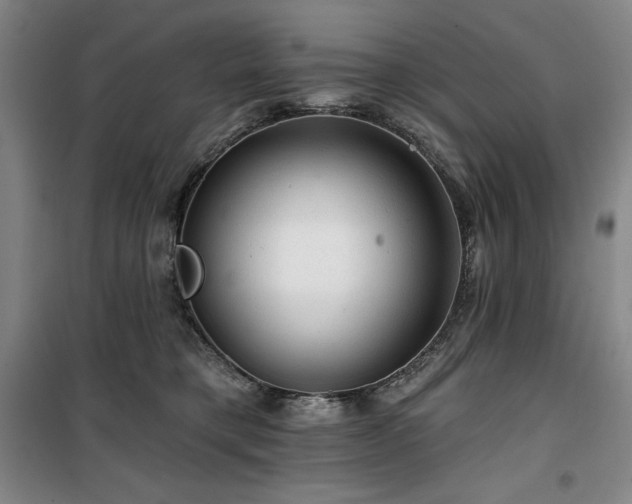 X0000100370421200806061200