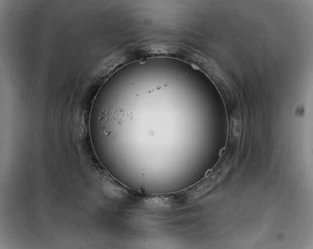 X0000100370422200806061200