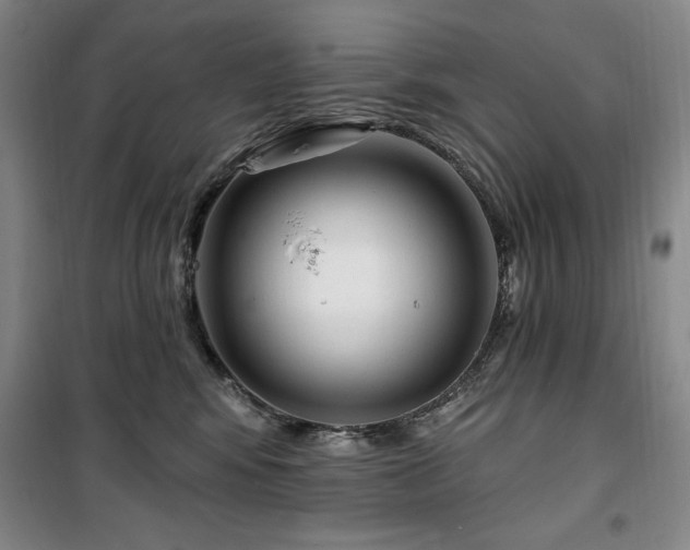 X0000100370424200806061200