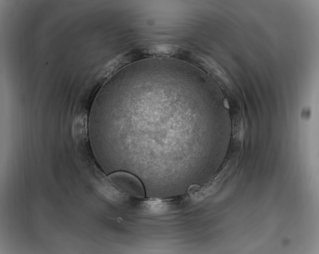 X0000100370425200806061200