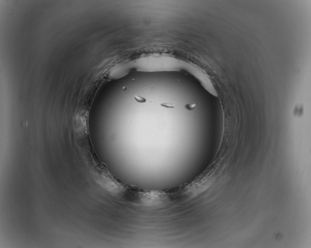 X0000100370432200806061200