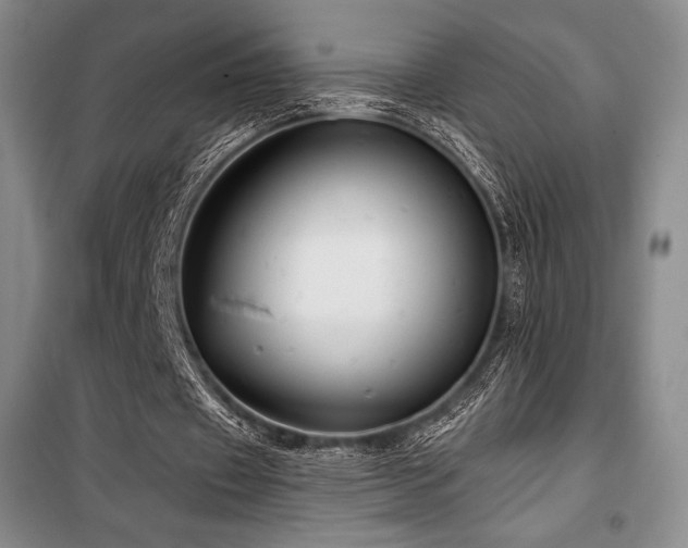 X0000100370433200806061159