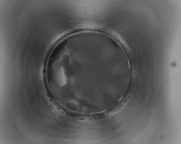 X0000100370434200806061159