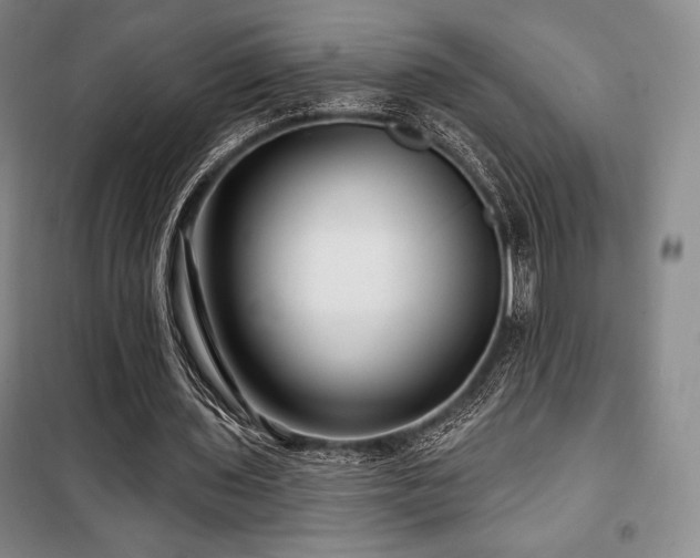 X0000100370435200806061159