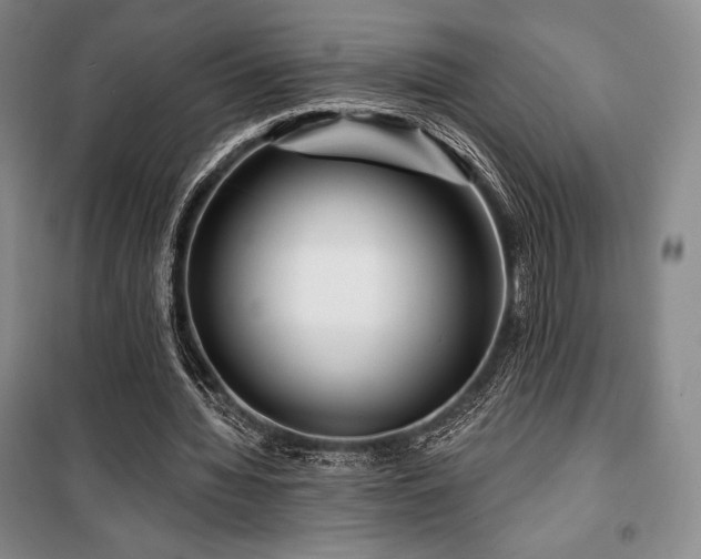 X0000100370436200806061159