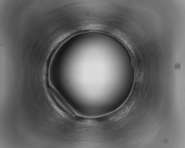 X0000100370437200806061159