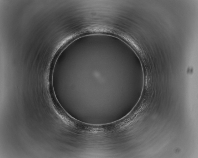 X0000100370438200806061159