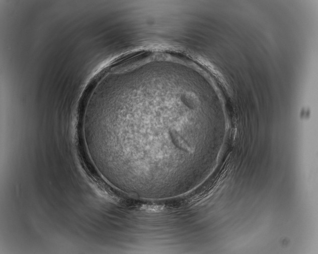 X0000100370440200806061159