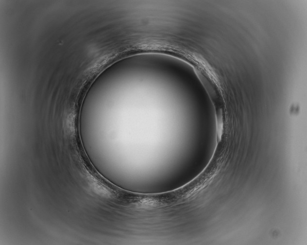 X0000100370441200806061159