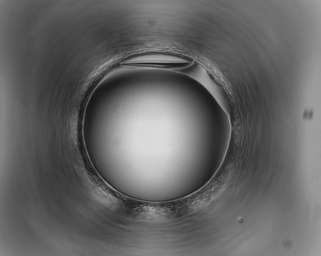 X0000100370442200806061159