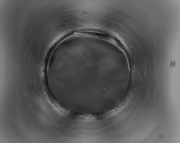 X0000100370443200806061159