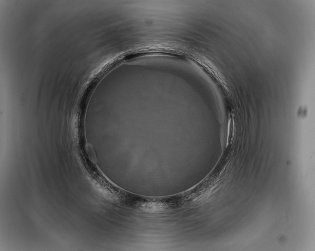 X0000100370444200806061159