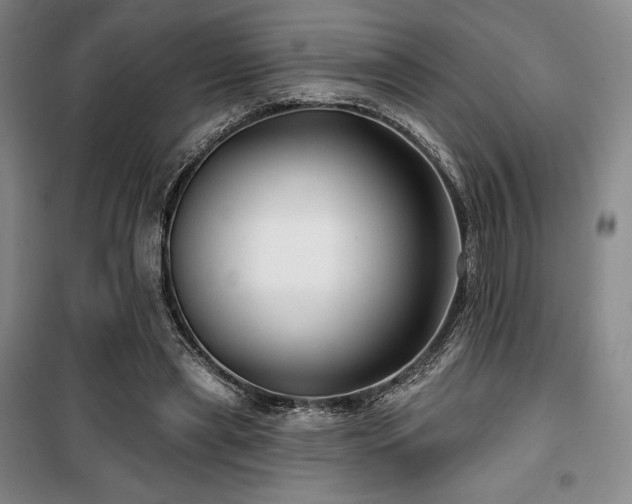 X0000100370445200806061159