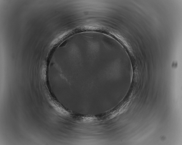 X0000100370446200806061159